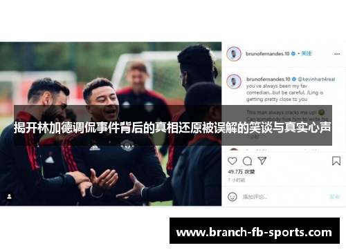 揭开林加德调侃事件背后的真相还原被误解的笑谈与真实心声