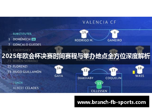 2025年欧会杯决赛时间赛程与举办地点全方位深度解析