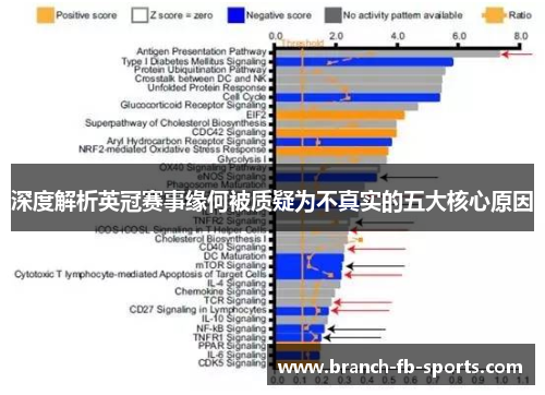深度解析英冠赛事缘何被质疑为不真实的五大核心原因 深度解析英冠赛事缘何被质疑为不真实的五大核心原因