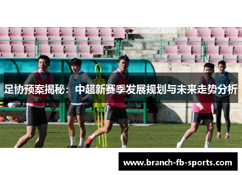 足协预案揭秘：中超新赛季发展规划与未来走势分析