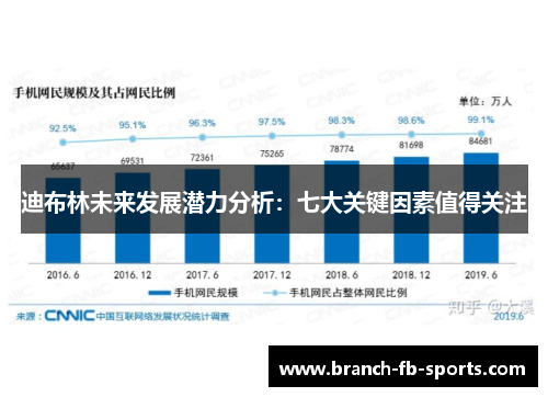 迪布林未来发展潜力分析:七大关键因素值得关注 迪布林未来发展潜力分析:七大关键因素值得关注