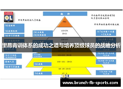 里昂青训体系的成功之道与培养顶级球员的战略分析 里昂青训体系的成功之道与培养顶级球员的战略分析