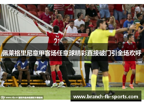 佩莱格里尼意甲客场任意球精彩直接破门引全场欢呼 佩莱格里尼意甲客场任意球精彩直接破门引全场欢呼