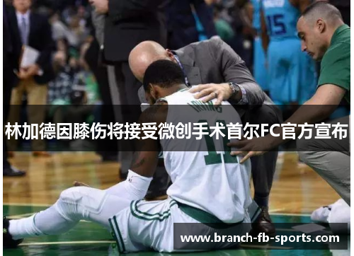 林加德因膝伤将接受微创手术首尔FC官方宣布 林加德因膝伤将接受微创手术首尔FC官方宣布