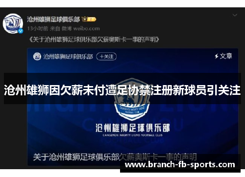 沧州雄狮因欠薪未付遭足协禁注册新球员引关注 沧州雄狮因欠薪未付遭足协禁注册新球员引关注