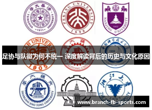 足协与队徽为何不统一 深度解读背后的历史与文化原因 足协与队徽为何不统一 深度解读背后的历史与文化原因